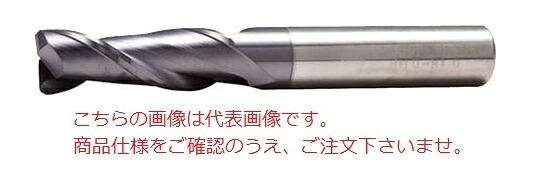 【ポイント5倍】PROCHI (プロチ) 2枚刃超硬ラジアスEM 6XR1.0 PRC-T06M2R1