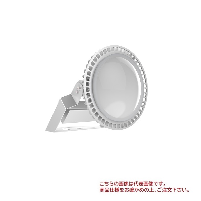 【尖んがり10倍】【直送品】 ルー道化芝居 LED写真用照明 RFA-FL10-240 【大型】