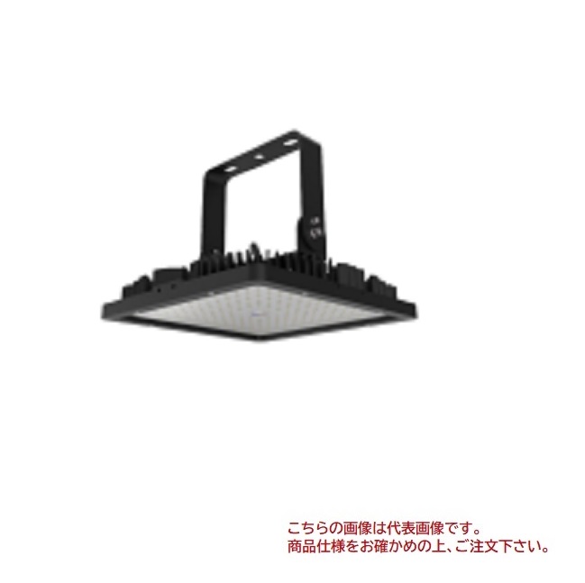 【直送品】 ルー道化芝居 熱気相応う型点火装置 RFA-FL6-100W 【大型】