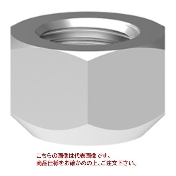【直送品】 ルッドスパンセットジャパン ロックナット NUT-M42