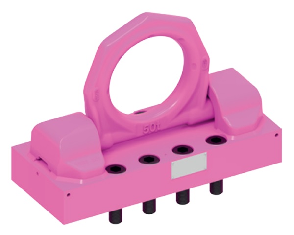 【直送品】 ルッドスパンセットジャパン リングシャックル SET品 VRBG-50 【大型】