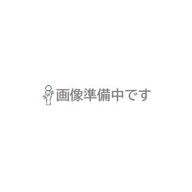サカエ オリジナルキャスター(2コより) SSG-100NB (712724)
