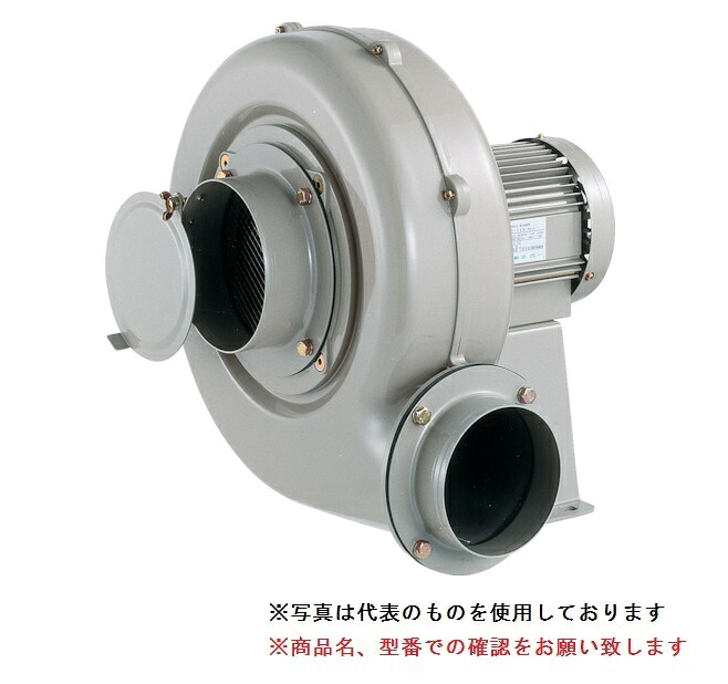 【ポイント5倍】【直送品】 SDG (昭和電機) 電動送風機 コンパクトシリーズ(Eタイプ) EC-H15-R313 (ターボ) 【大型】