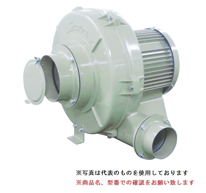 【ポイント5倍】【直送品】 SDG (昭和電機) 電動送風機 多段シリーズ(Uタイプ) U100B-H36-R313 【大型】