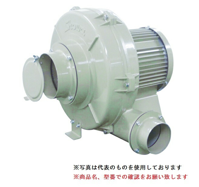 【ポイント10倍】【直送品】 SDG (昭和電機) 電動送風機 多段シリーズ(Uタイプ) U100B-H56-R313 【大型】