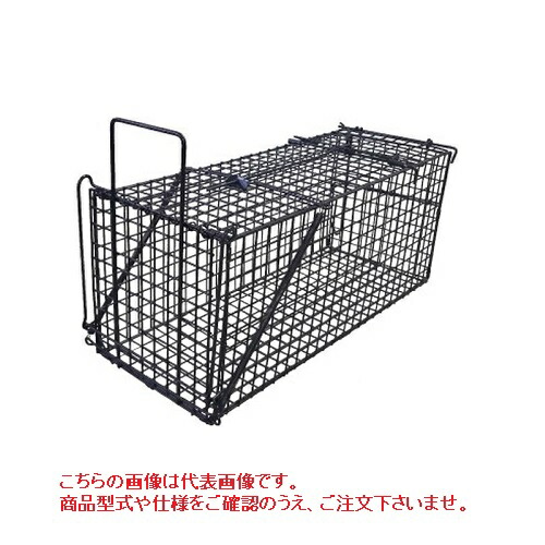 SNSで話題  【MAQJZEZGVAX】 限定デザイン
