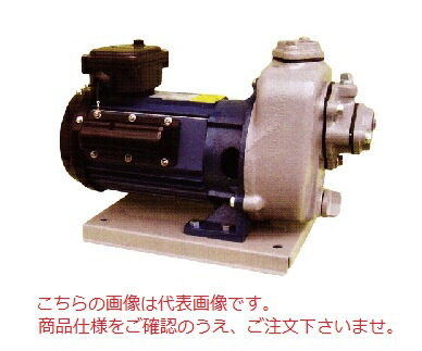 【直送品】 寺田揚水機 大地揚水機 (鋳鉄製) MPT1-0021R-50サイクル (MPT1-0021R-50) (単相100V 50Hｚ)