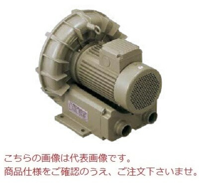 【ポイント10倍】【直送品】 テラル リングブロワ VFZ301AF (三相200V・標準形(相フランジ用))
