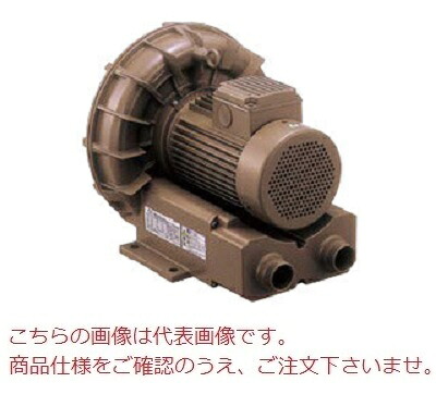 【直送品】 テラル リングブロワ VFZ301AN (三相200V・低騒音タイプ)