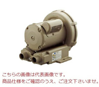 【直送品】 テラル リングブロワ VFZ301PN (単相100V・標準形)