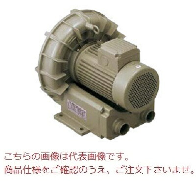 【直送品】 テラル リングブロワ VFZ601AF (三相200V・標準形(相フランジ用)) 【大型】