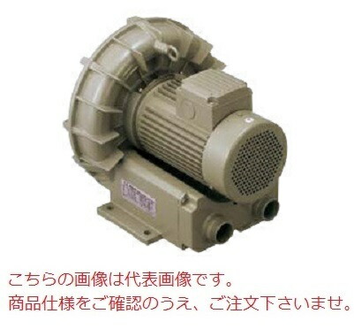 【ポイント5倍】【直送品】 テラル リングブロワ VFZ901A (三相200V・標準形) 【大型】