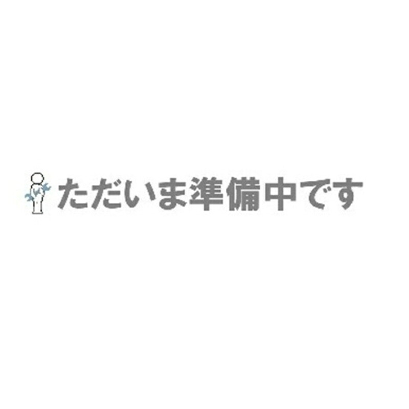 【尖んがり10倍】【直送品】 ベッセル ベベラー用切り手(10枚入) 250BV-R2.5 (370305)