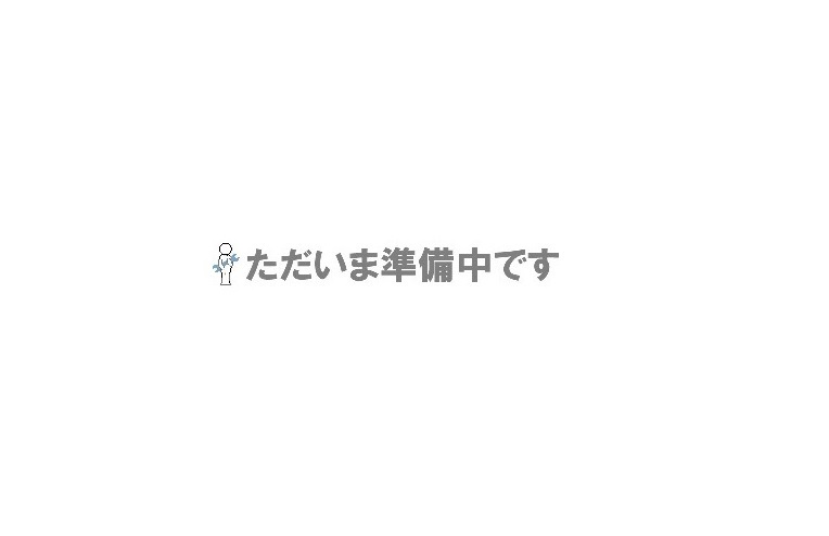 【直送品】 山金工業 スペシャルワゴン用棚板 (補強なし) WS1T-SET-G 《オプション》 【送料別】