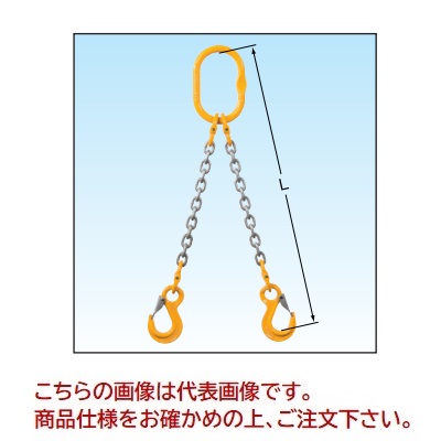 象印 チェーンスリング2本吊判定基準仕掛ける 2-MFF-YP-6.3 (2MFFYP-S0615) (アイ・スリングフック 当て嵌める掛け目 1.7t)