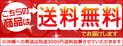 訳あり夕張メロン2-2.5kg詰(1-2玉着日指定不可送料無料※沖縄は送料別途加算