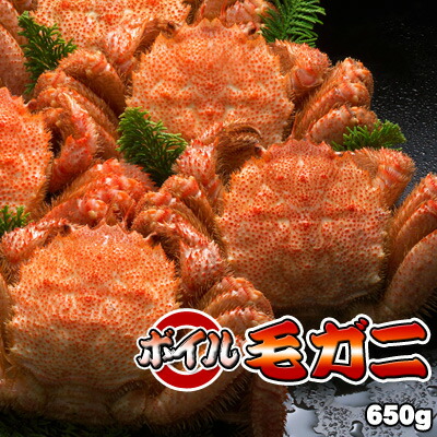 ボイル毛ガニ【特大】650g前後 送料無料 ※沖縄は送料別途加算 花見 GW 新生活