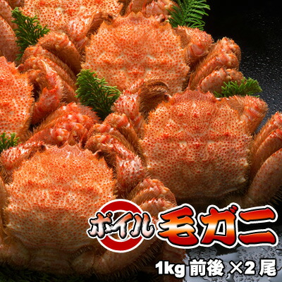 ボイル毛ガニ【超特大】1kg前後×2尾 送料無料 ※沖縄は送料別途加算 母の日 お花見 ゴールデンウィーク