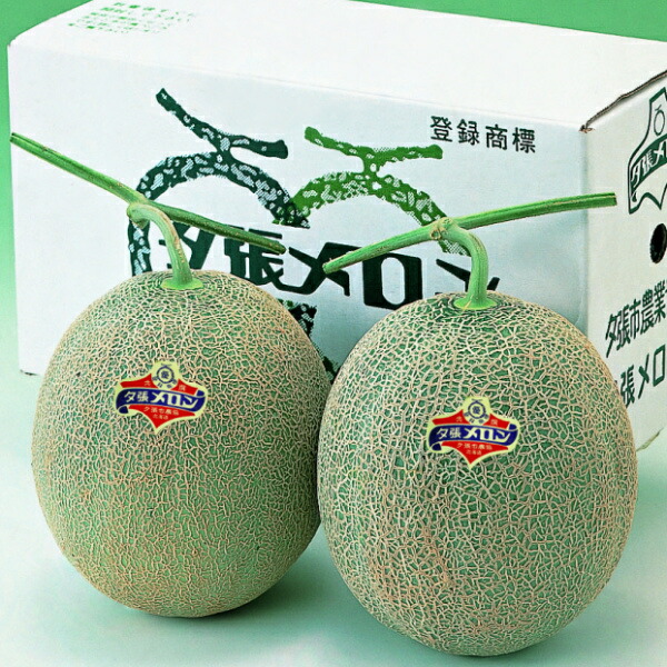 【予約】夕張メロン 良品 特大玉 2kg前後（2玉） 送料無料 共撰※沖縄は送料別途加算 母の日 お花見 ゴールデンウィーク