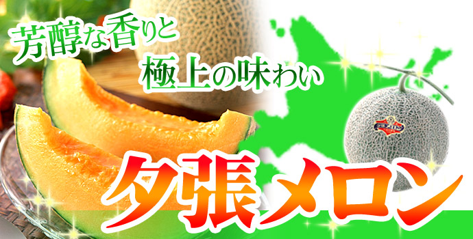 訳あり夕張メロン2-2.5kg詰(1-2玉着日指定不可送料無料※沖縄は送料別途加算