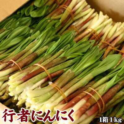 行者にんにく 行者ニンニク キトビロ 北海道産 1kg 送料無料 沖縄送料別途加算 花見 GW 新生活
