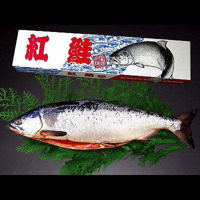 北洋紅鮭 甘塩 約2kg 送料無料 ※沖縄は送料別途加算 花見 GW 新生活