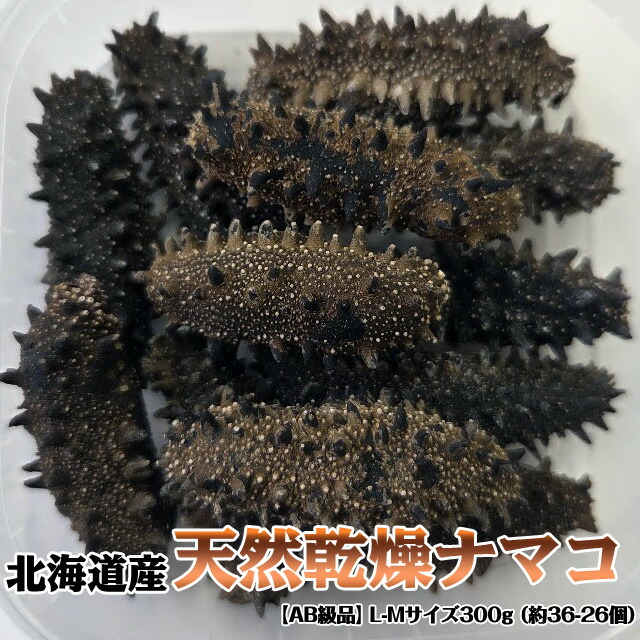 楽天市場】乾燥ナマコ (1kg) ＜2Lサイズ/約10～12g＞ 北海道産 【送料 