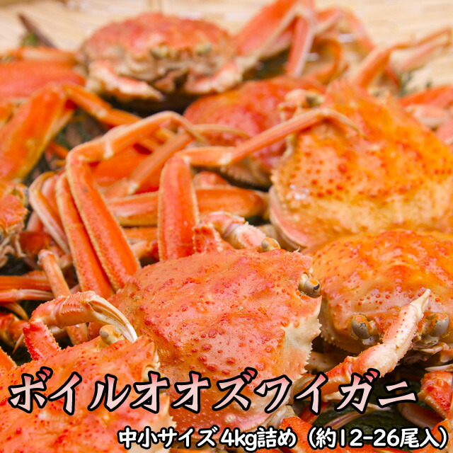 訳ありボイルオオズワイガニ姿 中小サイズ 4kg詰（約12-26尾入） 送料無料 ※沖縄送料無料加算 父の日 お中元 キャンプ｜道産ネット ミツハシ