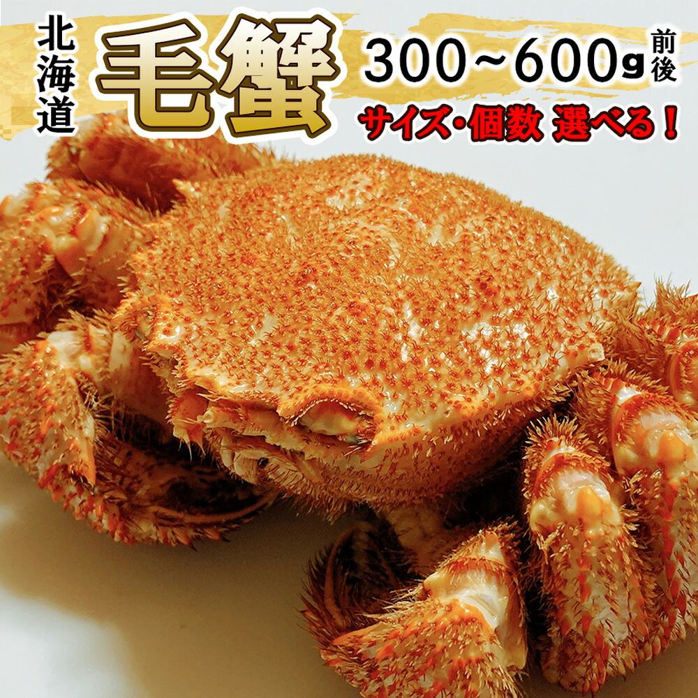 北海道産 毛ガニ 300ｇ～650ｇ サイズ個数選べる 蟹 カニ 北海道グルメ