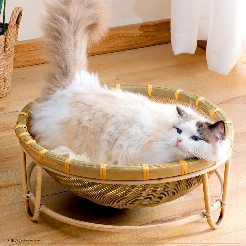 - ̗̀( ˶'ᵕ'˶) ̖́-クリーム　にゃんこのベッド　（猫ちぐら 風ベッド） Amazon.co.jp: ドギーマンハヤシ キャティーマン (CattyMan