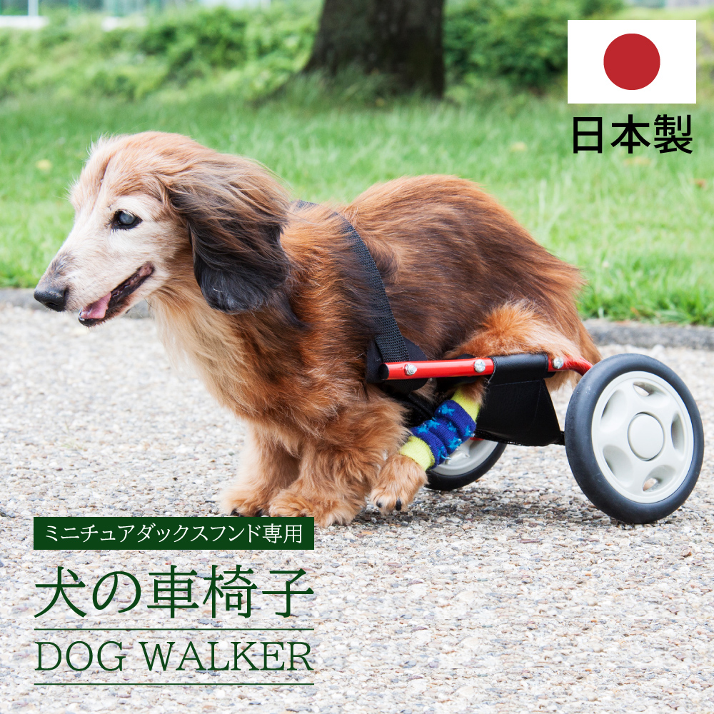 取引 Ｍ.ダックス用4輪歩行器!リハビリ!食事補助!犬の歩行器!介護!犬の車椅子! 犬用品