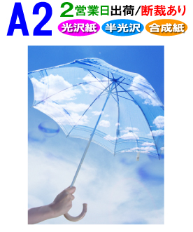 楽天市場 サイズ 大判デジカメプリント1営業日目出荷 化粧断裁を含みます ディプリーズ楽天市場店