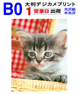 B0【スマホ デジカメ 写真 プリント】1枚 1営業日目出荷／仕上げカット含む ウェルカムボードにも最適