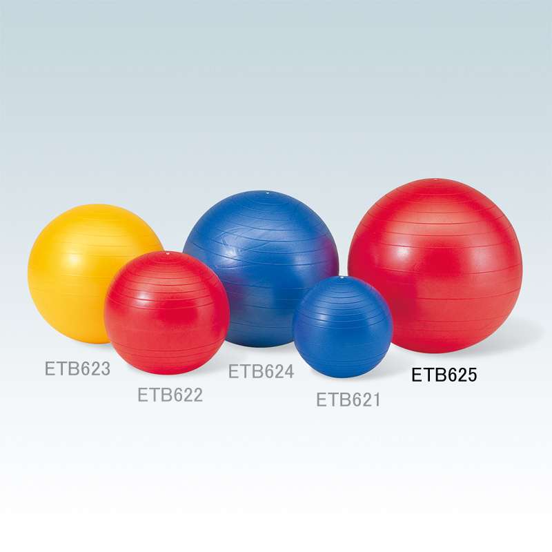 【 エバニュー EVERNEW 】 ジムボール etb625 エバニュー ジムボール75 [amz]