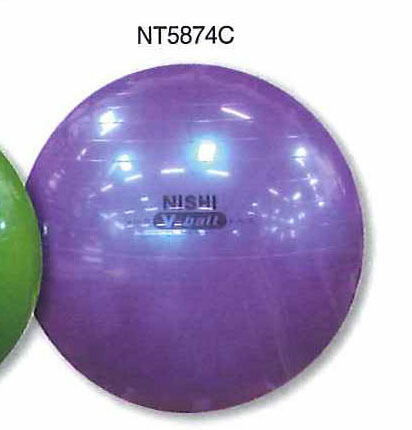 【 ニシスポーツ NISHI 】【トレーニング】 陸上 バランスボール　ノンバーストVボール　NT5874C　メタリックパープル