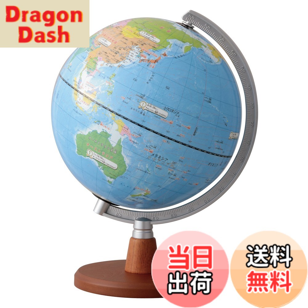 【送料無料】レイメイ藤井 地球儀 先生おすすめ小学生の地球儀 20cm OYV11