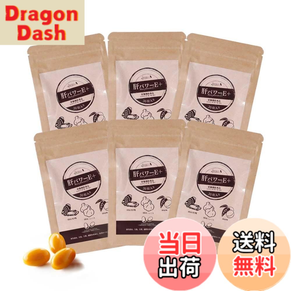 【貨物輸送無料】【まとめてお得！】中心柱漢方 肝力強さE+（30粒x6袋）