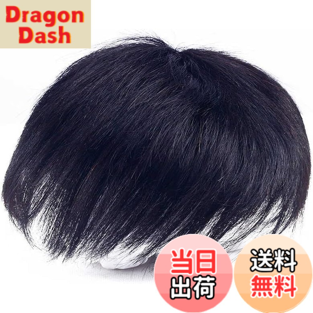 【送料無料】YOYO 部分ウィッグ メンズ 人毛100% ポイントウィッグ 男性用 部分カツラ 医療用 白髪隠し 薄毛 ヘアピース つむじカバー 増毛 軽量 快適 小顔 ナチュラル 脱毛症隠す 頭頂部 付け毛 ウィッグネット 色：自然タイプ、サイズ：20x22cm｜DragonDash店