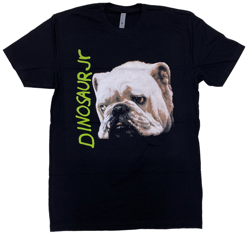 DINOSAURJr. ダイナソージュニア　カットソー　バンドT 90s DINOSAUR Jr ダイナソージュニア バンド Tシャツ | ACORN