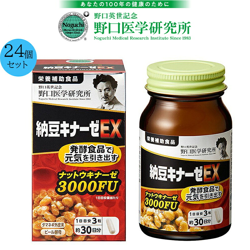 【24個書き割り】野口刀圭科学研究所 納豆キナーゼEX 3000FU 90粒 野口 納豆3000 営養素かばい立て食料雑貨類【面白がる締め切り日最新 定め事品】