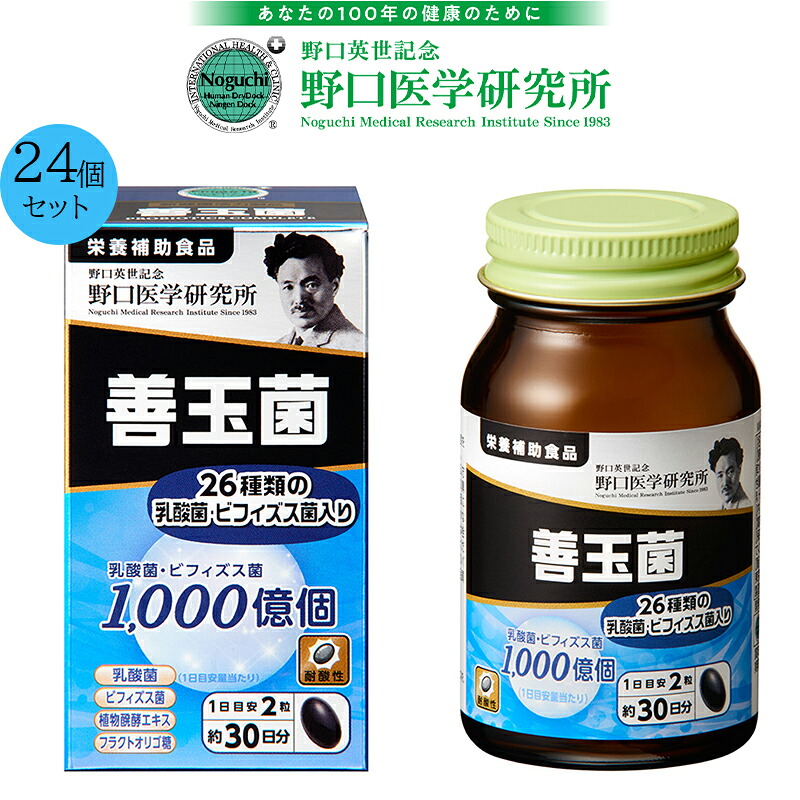 【24個セット正規品】野口医学研究所 NOGUCHI 善玉菌 60粒 約30日分