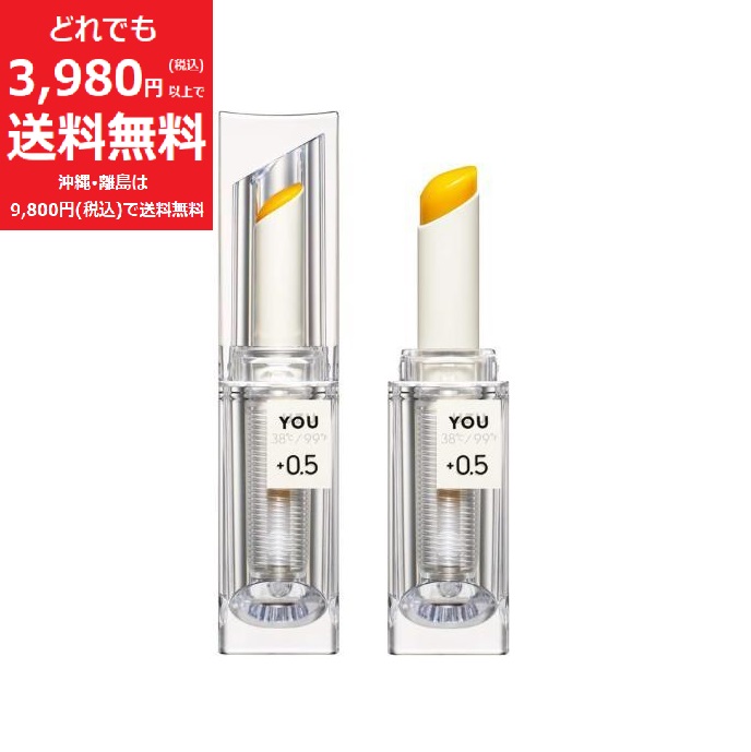 TERNARY T カラーチェンジライトタッチファンデーション 25g TERNARY (ターナリー) / T カラーチェンジライトタッチ