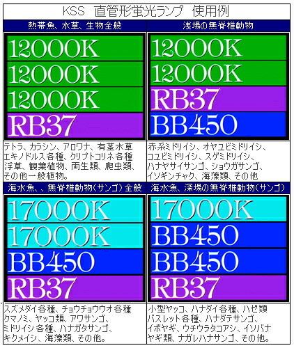 楽天市場 交換球 Rb37 6w 蛍光管 蛍光灯交換球 Rb37 アクアリウム ドリームシアター