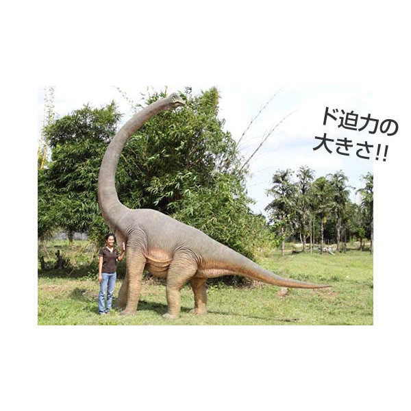 楽天市場 高さ472cm 振り向くブラキオサウルス大型 恐竜等身大フィギュア ドリームフィギュア 楽天市場店