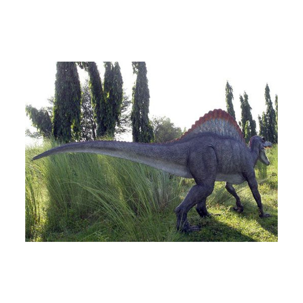 楽天市場 高さ2 3ｍ超 スピノサウルス 巨大フィギュア 恐竜等身大フィギュア ドリームフィギュア 楽天市場店