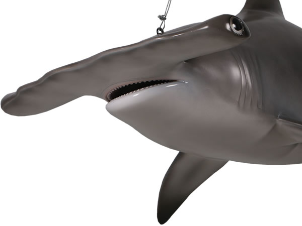 楽天市場 全長184cｍ ハンマーヘッド シャーク 巨大フィギュア 吊り下げ 海 等身大フィギュア ドリームフィギュア 楽天市場店