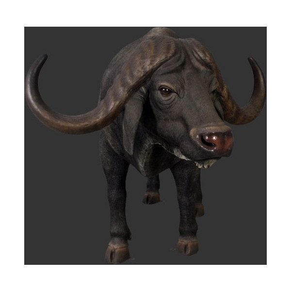 特売 アニマルビッグフィギュアシリーズ 小型 アンガス 牛 ブラック ブル 等身大フィギュア 国産 Www Camaratomeacu Pa Gov Br