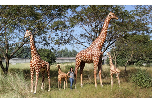 楽天市場】ミニチュアプラネット 動物インフィニティ2 アミメキリン