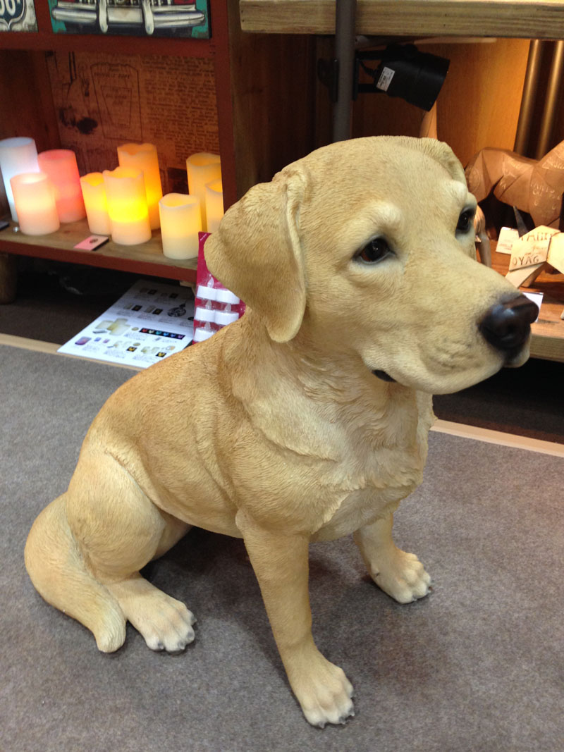 アニマルビッグフィギュアシリーズ【温和な　ラブラドール　レトリバー犬】小（等身大フィギュア）