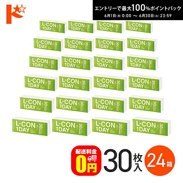 エントリーして尖んがり5倍！6/11の1:59まで♪【貨物輸送無料】エルコンワンデーエクシード 30枚入 24箱 1day